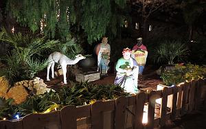 2025 12 02 SANARY SUR MER - PROMEDADE  AMBIANCE NOEL (52)